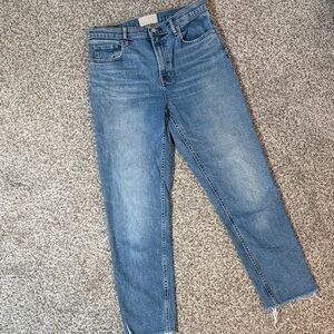 Everlane The Cheeky Jean - Light Wash